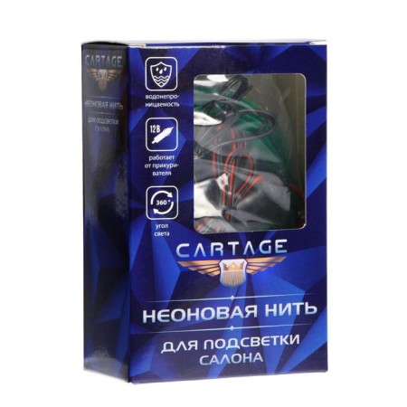Cartage neon thread for lighting salon, feeder 12 V, 2 m, green power adapter-4
