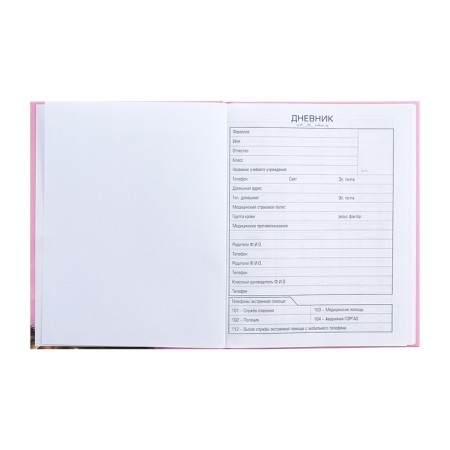 Universal diary for grades 1-11 Milashka, hard cover, matte lamination, 3D foil, 40 sheets-4