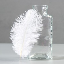 A set of ostrich feathers 10-15 cm, 10 pcs, white