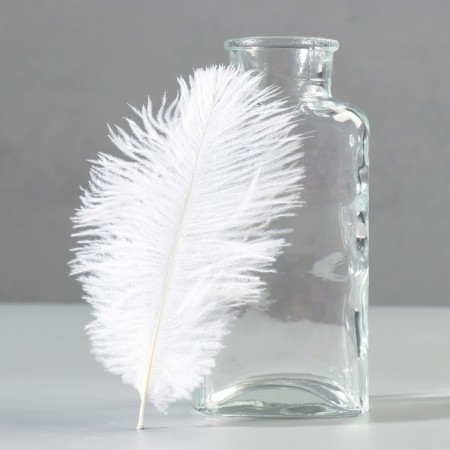 A set of ostrich feathers 10-15 cm, 10 pcs, white