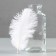 A set of ostrich feathers 10-15 cm, 10 pcs, white