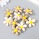 Busina for creativity plastic "Chamomile" Gloss Mix 1.2x3x3 cm