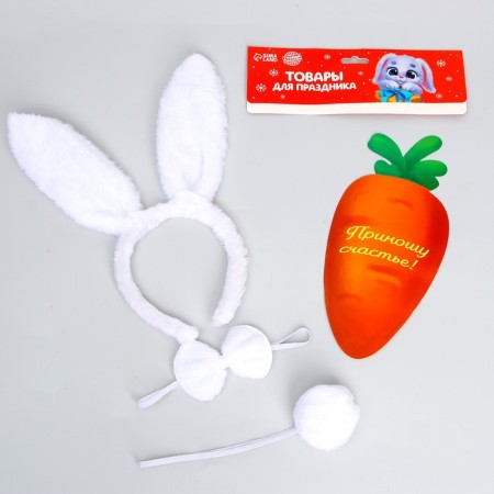 Carnival set "Cool bunny" (rim-ear, tail+ butterfly+ carrot)-2