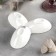 Porcelain 3 cells 3 cells Wilmax, D = 17 cm, white color