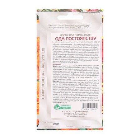 Flower seeds Flower composition of the ODA Constantly, 20 pcs-1