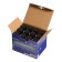 Paint for the fluid art, set of 12 colors x 60 ml, Brauberg,