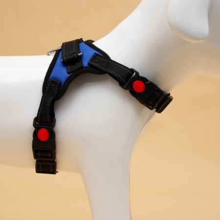 Cluck K7 soft reflective, size S, OG 44-55 cm, weight 5-9 kg, blue-4