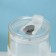 Glass glass with a lid and tube "Frutis", 410 ml, color mix
