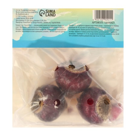 Hyacinth Fondant, rr 14/15, 3pcs, autumn 2024-1