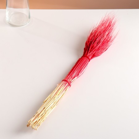 Set of dried flowers "rye", banch 35-40 pcs, length 55-65 (+/- 6 cm), red-3