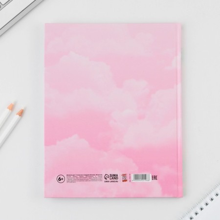 School 1-4 Diary “September 1: Princess”, solid cover 7BC, glossy lamination, 48 sheets-8