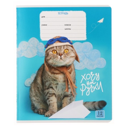 Notebook 12 sheets in a cage on a clip of "cat-piles", cover shaked cardboard, VD-pound, mix-4