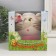 Growing gift Eco -Zhizhivchik "Kisa" Gift packaging