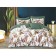 Bed linen 2 joint venture Primvelle "Corso", size 215x220 cm, 175x210 cm, 52x74 cm - 2 pcs