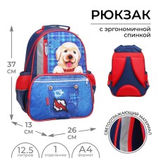Рюкзак школьный, 37 х 26 х 13 см, эргономичная спинка, Calligrata ОРТ "Щенок на джинсе", синий
