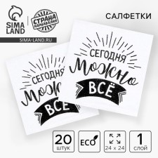 Paper napkins “Today you can do everything”, single -layer, 24x24 cm, set of 20 pcs.