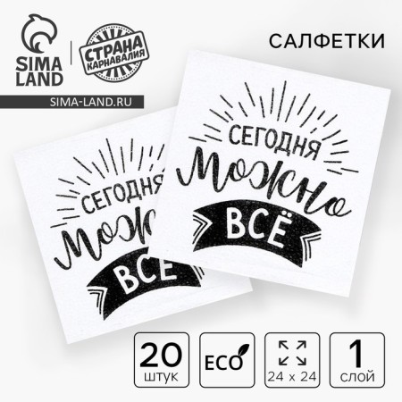 Paper napkins “Today you can do everything”, single -layer, 24x24 cm, set of 20 pcs.