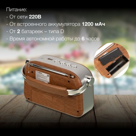 Portable Hyundai H-PSR200 radio receiver brown/silver USB Microsd-3