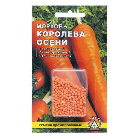 Seed Carrots "Queen of Autumn" Simple Drage, 300 pcs-2