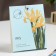 Sasha Aromatic Spring "Iris", iris, pepper, grenade and amber