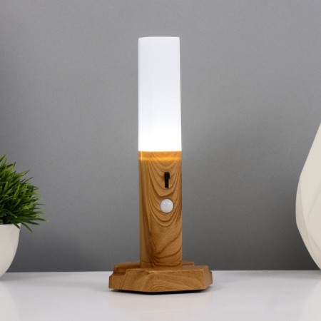 Sconces with a junik motion sensor LED from batteries 3haaa 9.5x3x20 cm-8
