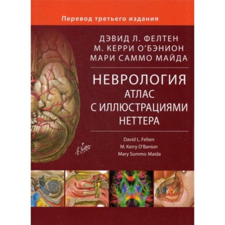 Neurology. Felten D.L., O’Banion M.K., Maida M.S.