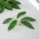 Artificial plant for creativity "Hebelly leaves" set of 6 pcs 13.5x16 cm