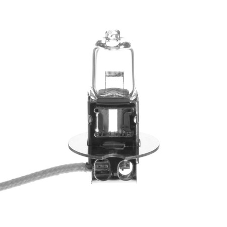 Carlight Longlife, H3, 12 V, 55 W-1