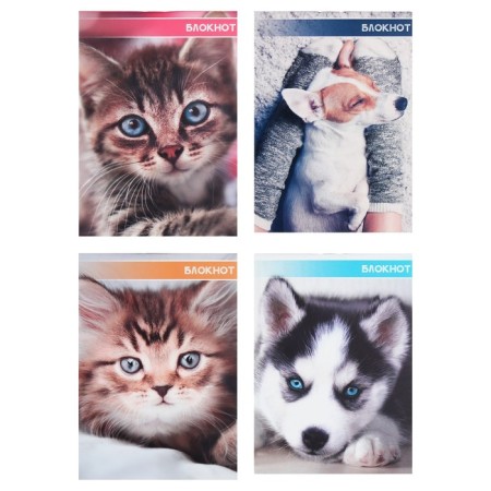 A set of notebooks A6, 40 sheets in a cage on a clip "kittens and puppies", covering a shared cardboard, an offset unit, 4 pieces
