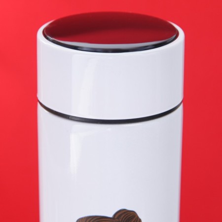 Thermos with the temperature indicator "Confidence", 500 ml, retains heat of 8-10 hours-2