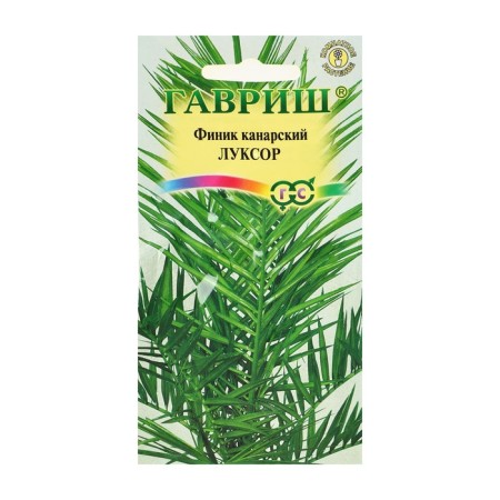 Seeds of indoor flowers dates "Luxor", 2 pcs.-2