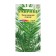 Seeds of indoor flowers dates "Luxor", 2 pcs.