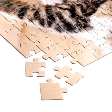 Puzzle "meow-koti", 160 elements-2