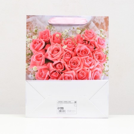 Laminated package, 26 x 32 x 12 cm-1
