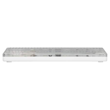 Lamp era DBO 01, LED, 12W, 240x110x35 mm, IP54-3