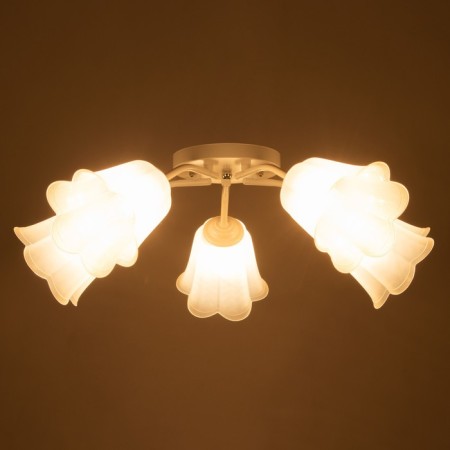 Causte "Online" (Flower) 5x15W E27 Model: BR 00211 White/Transparent-2
