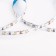 Set of LED tape IP20, 12V 4.8W 60led/m, 2835, glow cold white