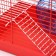 Rodent cell, equipped, 36 x 24 x 27 cm, red