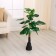 Artificial tree "Filodendron Congo" 80 cm