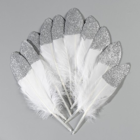 A set of goose feathers 15-20 cm, 10 pcs, white with silver chips-1