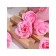 Soap roses, set 81 pcs