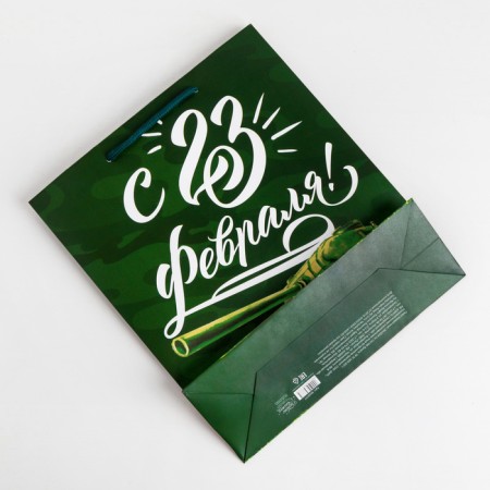 Gift laminated vertical package, packaging, "armor is strong", m 26 x 30 x 9 cm-3