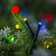 Garland "thread" 20 m, dark thread, 200 LED, glow of multi, 2 modes, solar battery