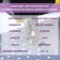 Foot for sewing machines, for a patchwork, with a guide