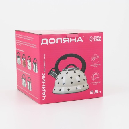 A kettle with a stainless steel whistle “Rio”, 2.8 liters, a fixed handle, the color of the chrome-7