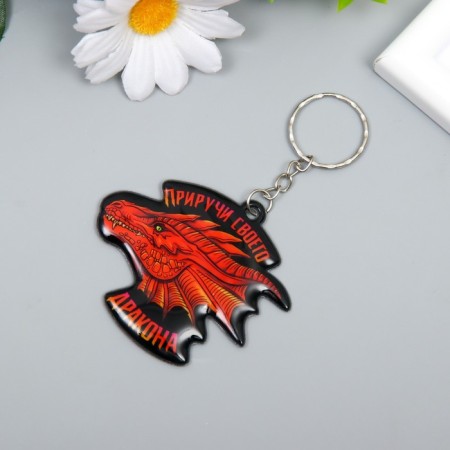 PVC keychain "Turn your dragon" soft 5.6x6 cm-1