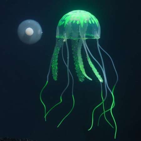 Decor for the Aquarium "Medusa" silicone, with a neon effect, 5 x 5 x 15 cm, green-6