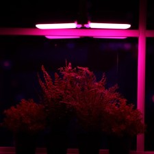 LED phytolamp, E27, 16 W, IP 20, 220 V, two -petal, folding, multi -pointral 7391