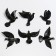 Wall deaf "Birds" 6 pieces 14 x 23.5 x 6 cm, black