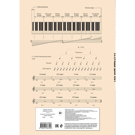 Note notebook "Violin with notes", A4-1